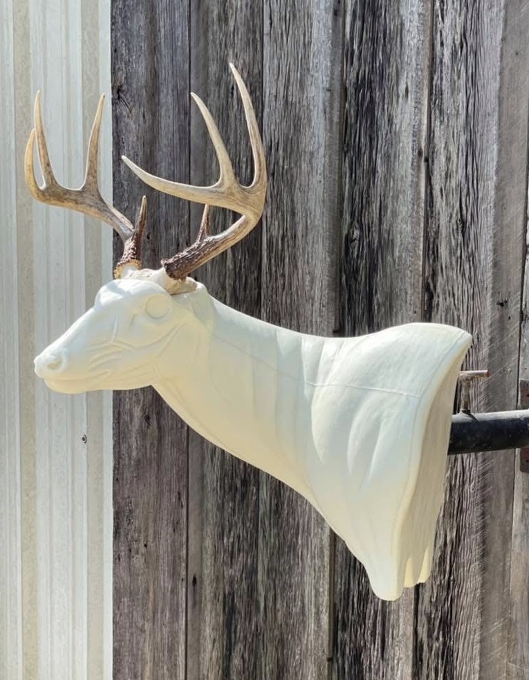 FSL-WP-18 — Wall Pedestals whitetail taxidermy form by Mears Whitetail Forms