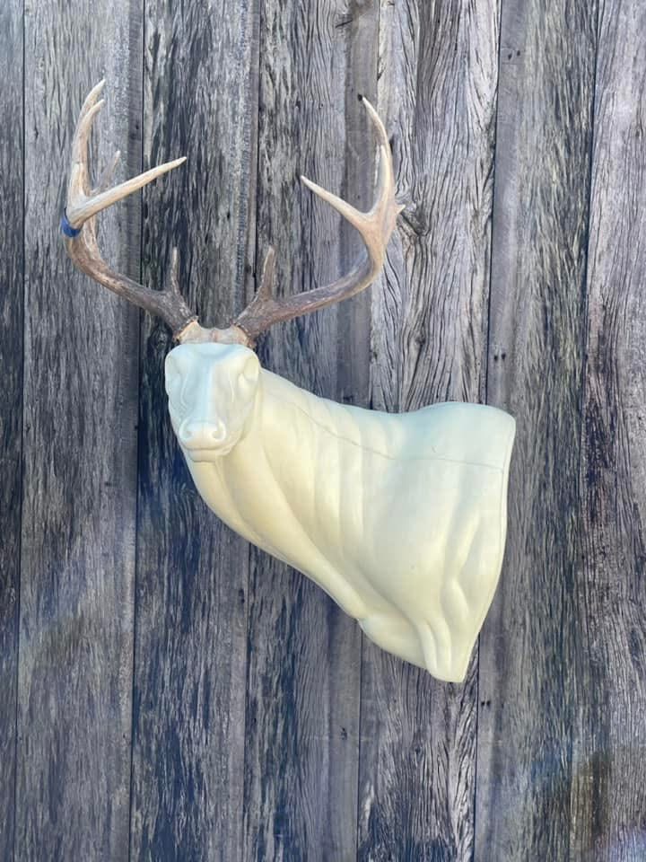 FSL-WP-22 — Wall Pedestals whitetail taxidermy form by Mears Whitetail Forms