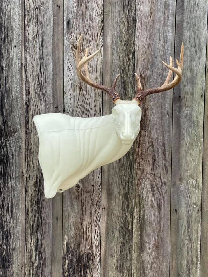 FSR-WP-19 — Wall Pedestals whitetail taxidermy form by Mears Whitetail Forms