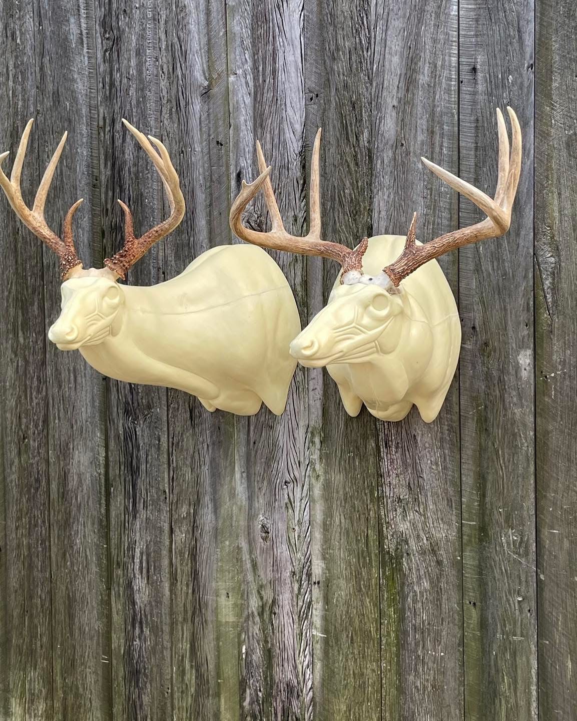 OSSL-24 & OSSR-24 — Offset Super Sneak whitetail taxidermy form by Mears Whitetail Forms