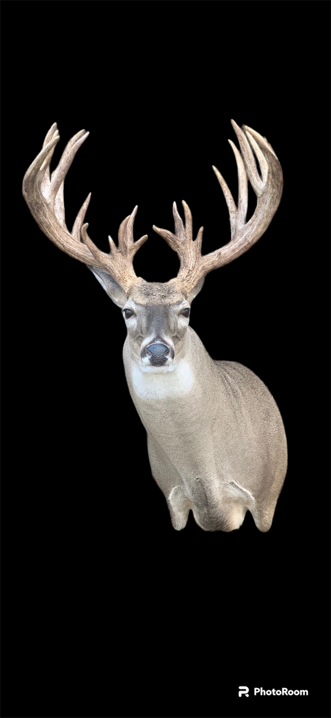 SUOL-22 · Cole Mears