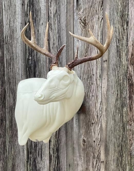 FSR-WP-19 — Wall Pedestals whitetail taxidermy form by Mears Whitetail Forms