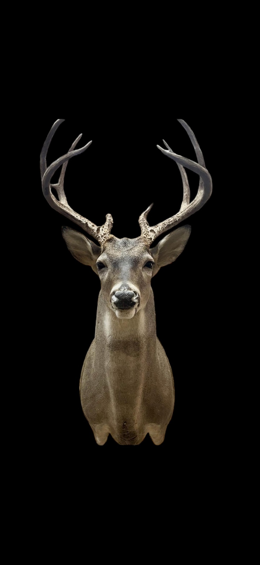 UPST-18 · Mounted by Austin Sullivan