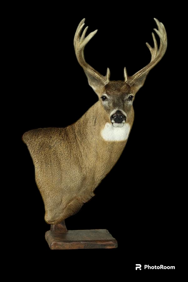 SUR-WP-21 · Mounted by Cory Hammett