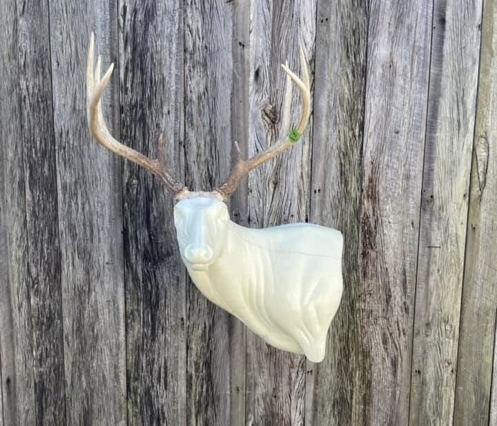 FSL-WP-20 — Wall Pedestals whitetail taxidermy form by Mears Whitetail Forms