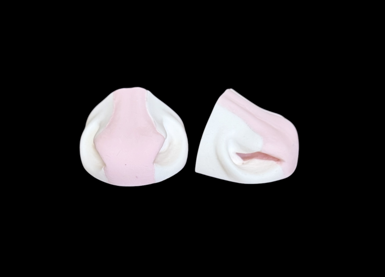 E-Z Nose by Hilton Eppley