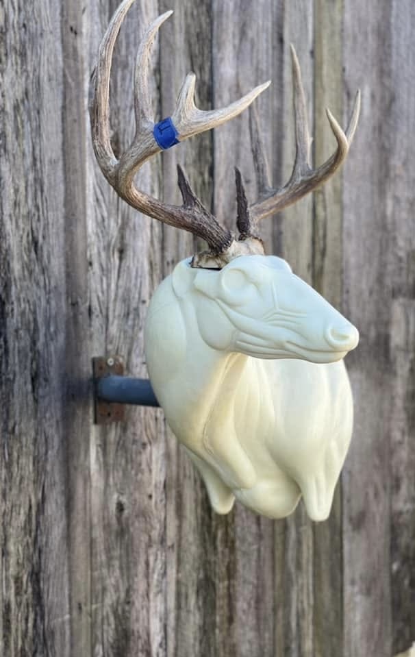 FSL-WP-22 — Wall Pedestals whitetail taxidermy form by Mears Whitetail Forms