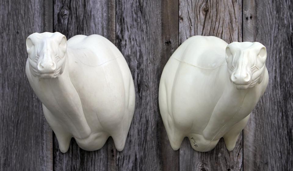 FSL-22 & FSR-22