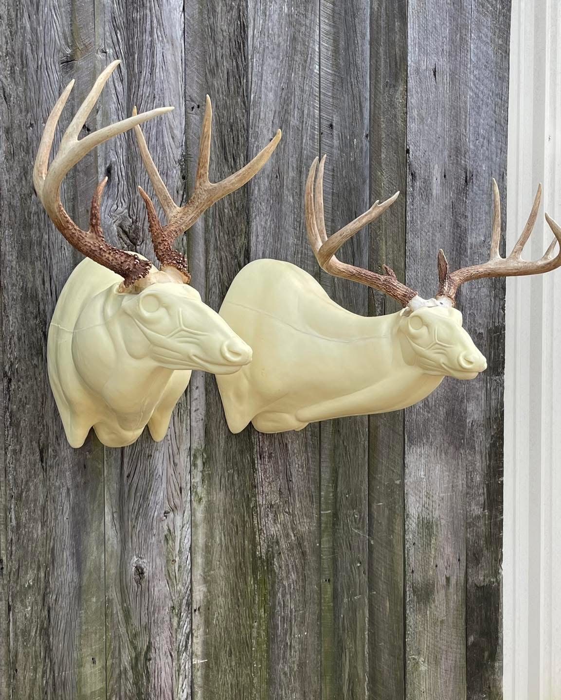 OSSL-24 & OSSR-24 — Offset Super Sneak whitetail taxidermy form by Mears Whitetail Forms