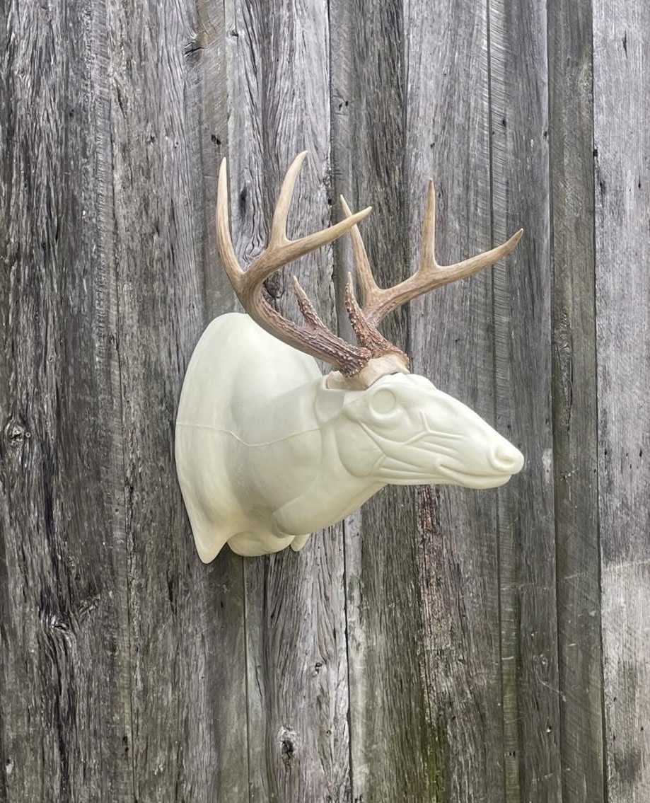 OSSL-21 — Offset Super Sneak whitetail taxidermy form by Mears Whitetail Forms