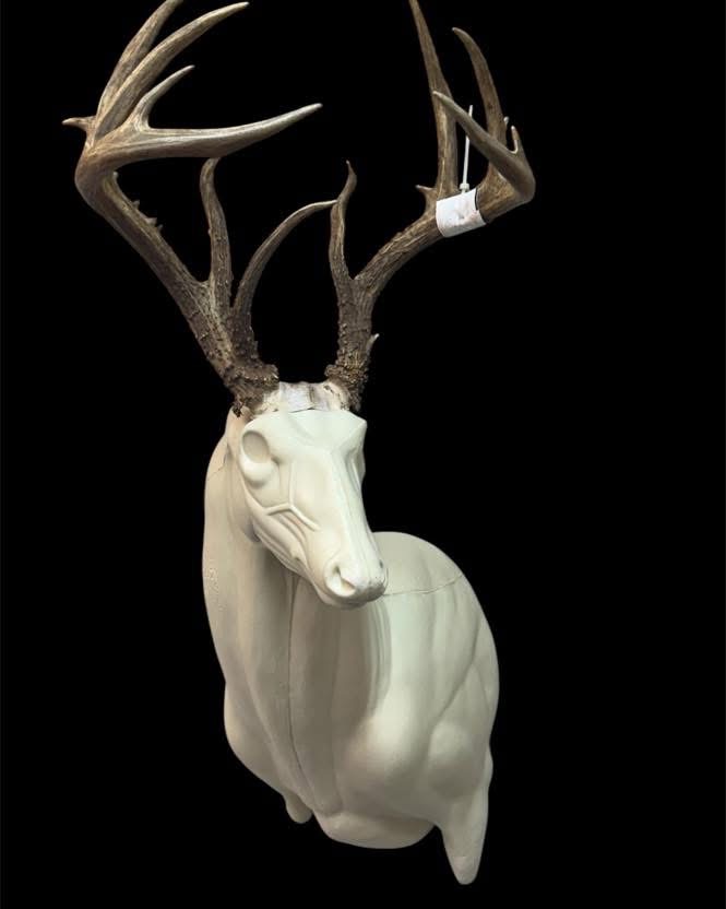ASL-21 — Aggressive Sweep whitetail taxidermy form by Mears Whitetail Forms