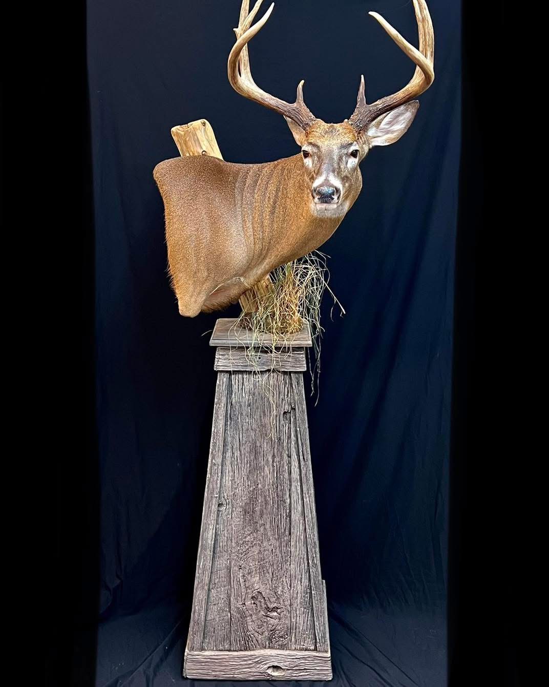 Mears whitetail form