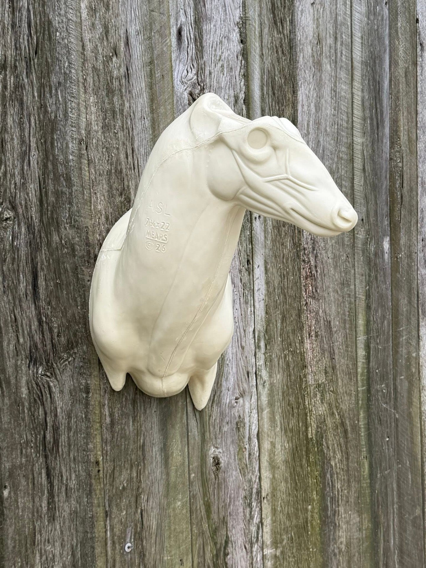 ASL-22 — Aggressive Sweep whitetail taxidermy form by Mears Whitetail Forms