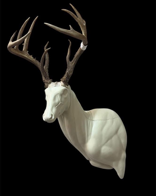 ASL-21 — Aggressive Sweep whitetail taxidermy form by Mears Whitetail Forms