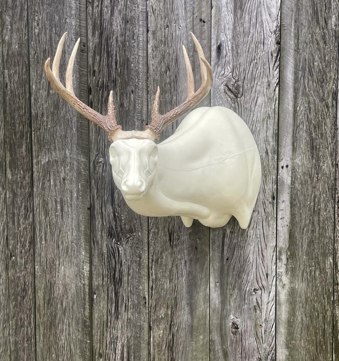 OSSL-21 — Offset Super Sneak whitetail taxidermy form by Mears Whitetail Forms