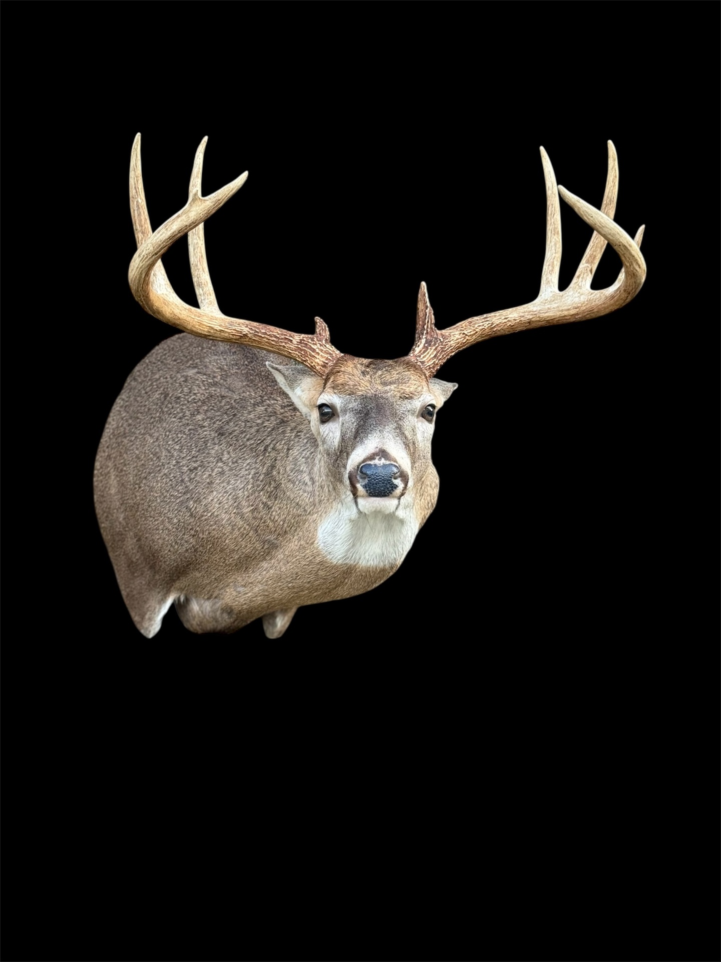 OSSR-24 · Cole Mears · Finished mount