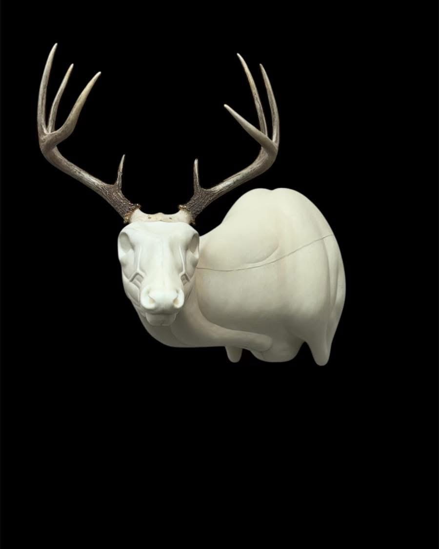 OSSL-19 — Offset Super Sneak whitetail taxidermy form by Mears Whitetail Forms