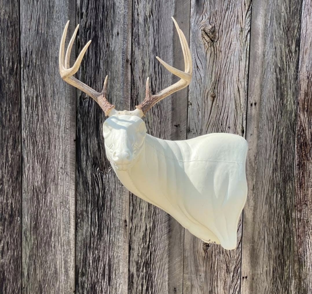 FSL-WP-18 — Wall Pedestals whitetail taxidermy form by Mears Whitetail Forms