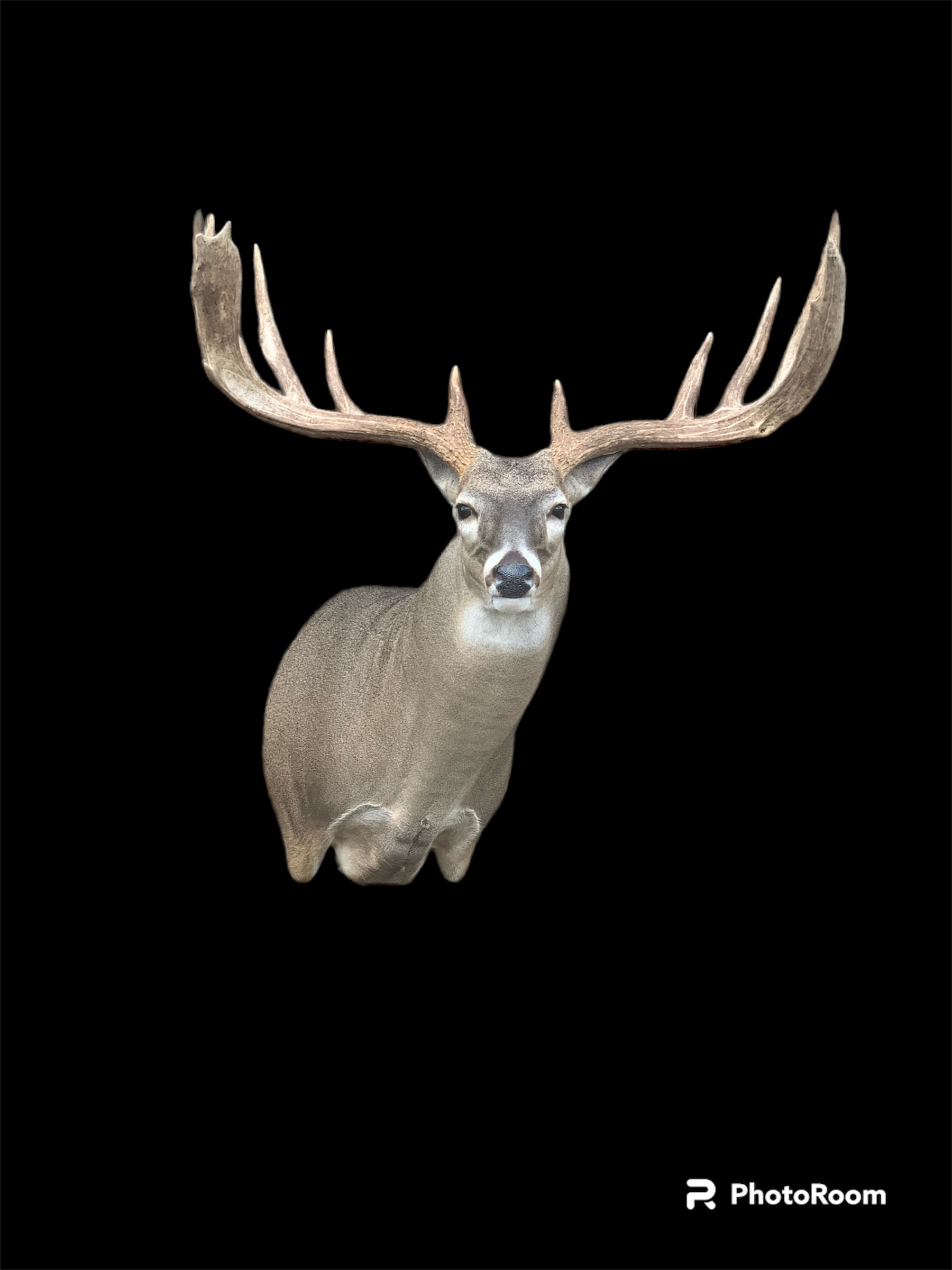 SUOR-22 · Cole Mears