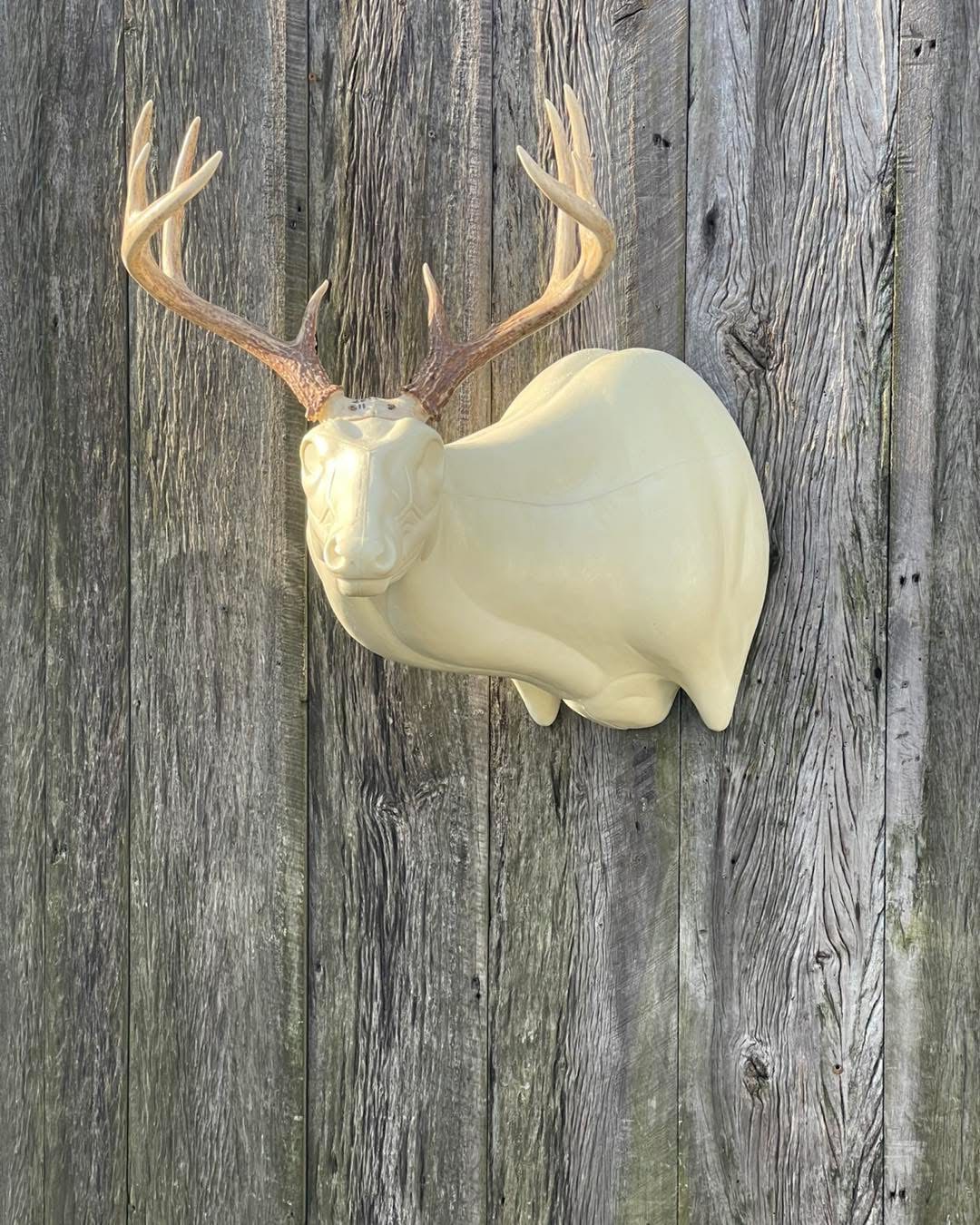 OSSL-23 — Offset Super Sneak whitetail taxidermy form by Mears Whitetail Forms