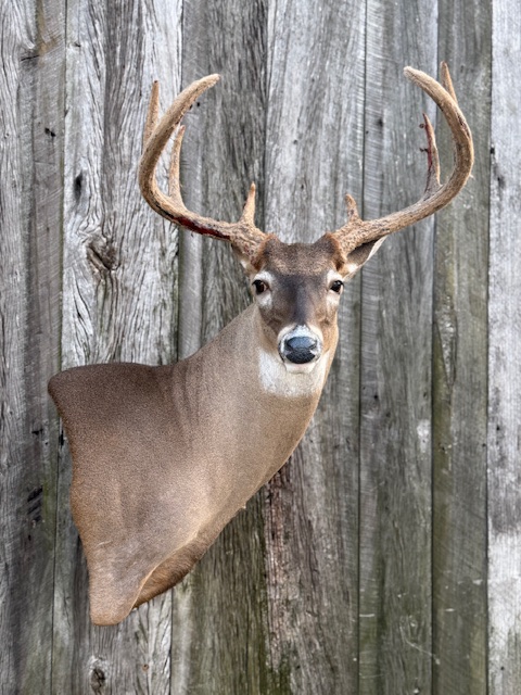 SUR-WP-21 · Cole Mears