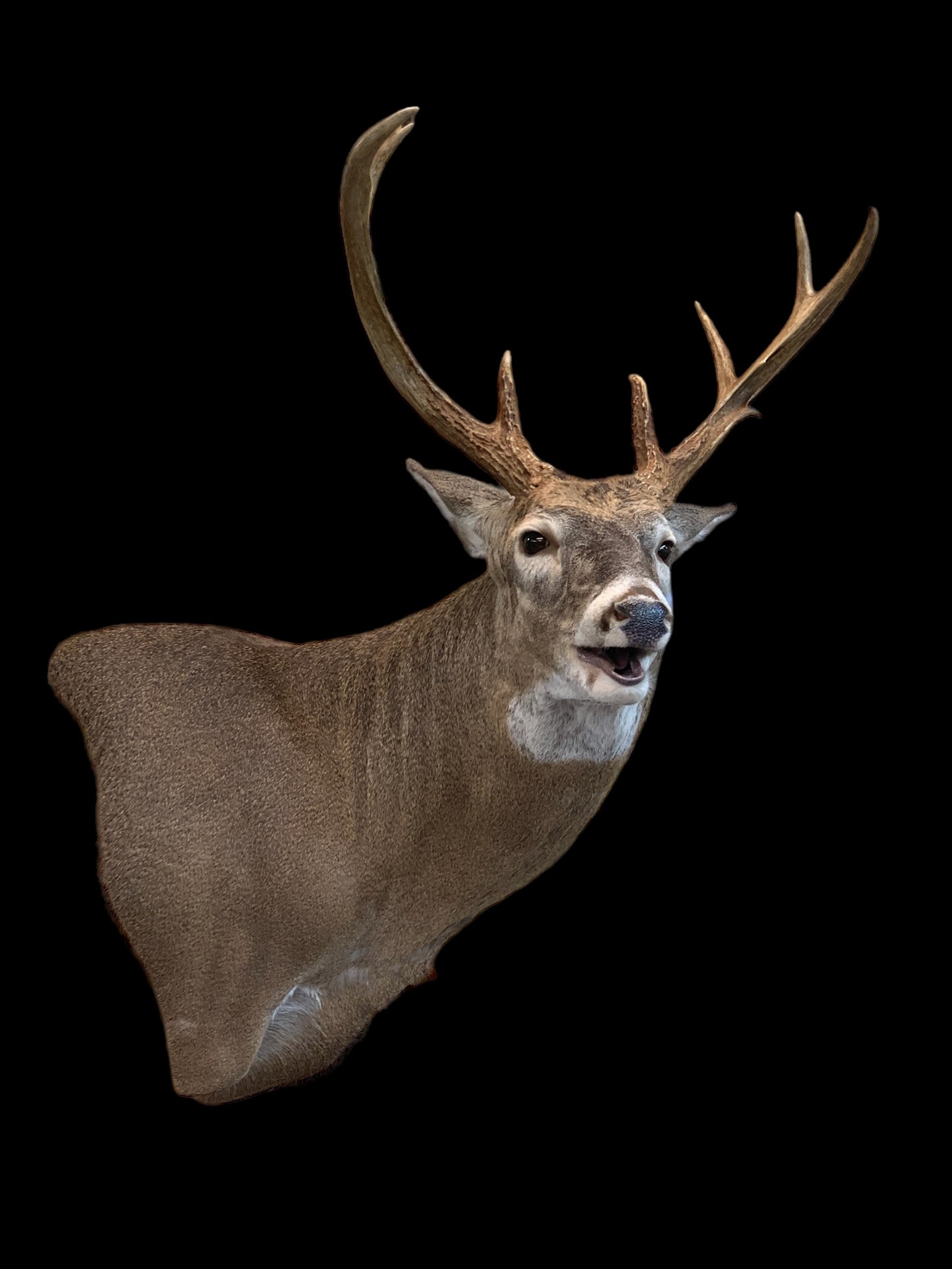 FSR-WP-25 · Mounted by Cole Mears