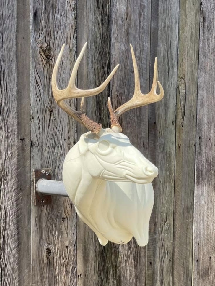 FSL-WP-18 — Wall Pedestals whitetail taxidermy form by Mears Whitetail Forms