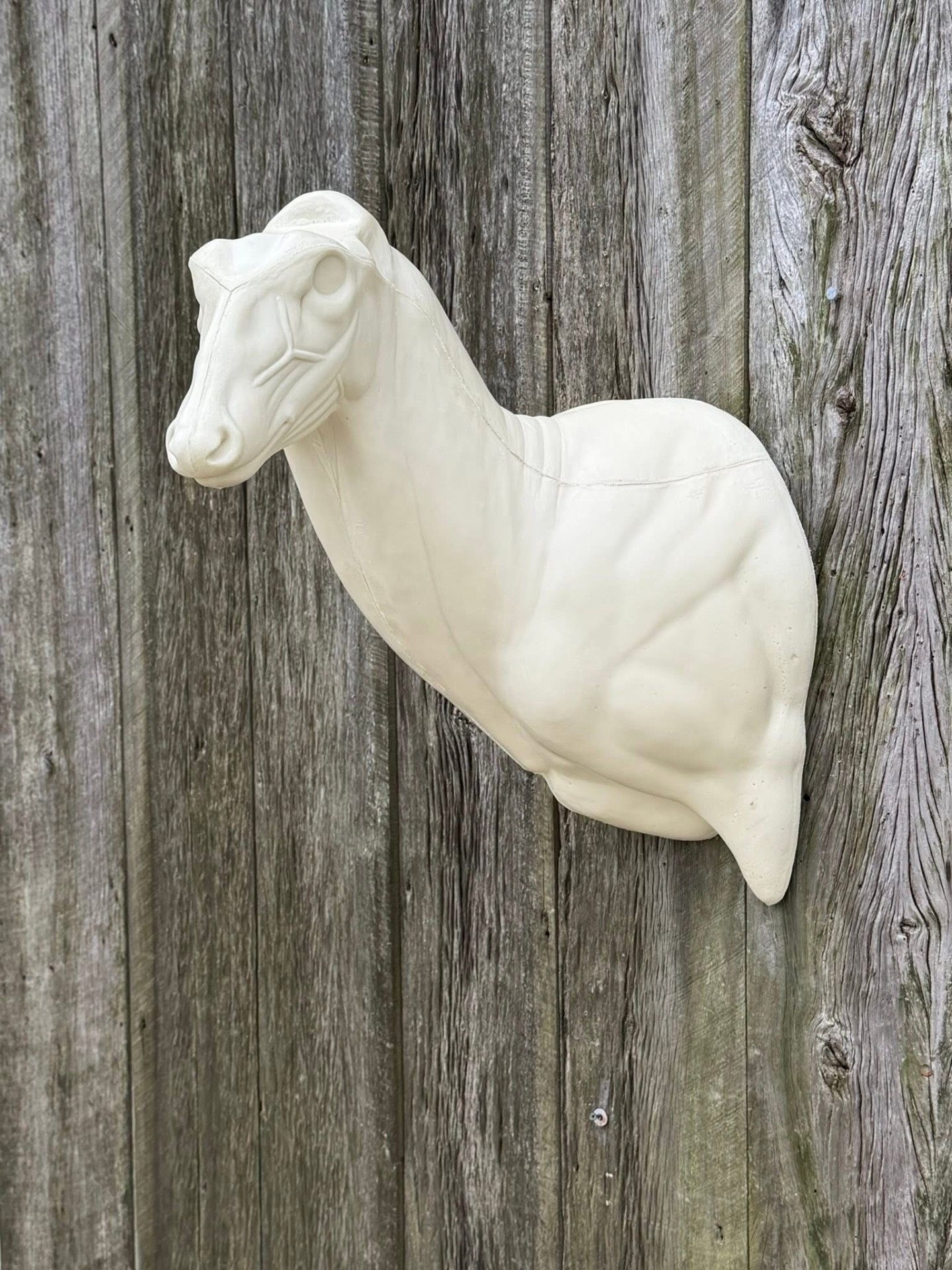 ASL-22 — Aggressive Sweep whitetail taxidermy form by Mears Whitetail Forms