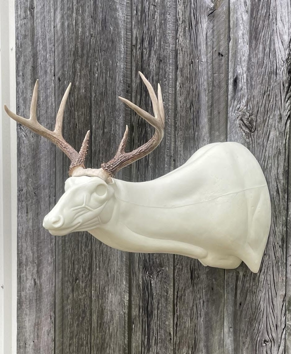 OSSL-21 — Offset Super Sneak whitetail taxidermy form by Mears Whitetail Forms