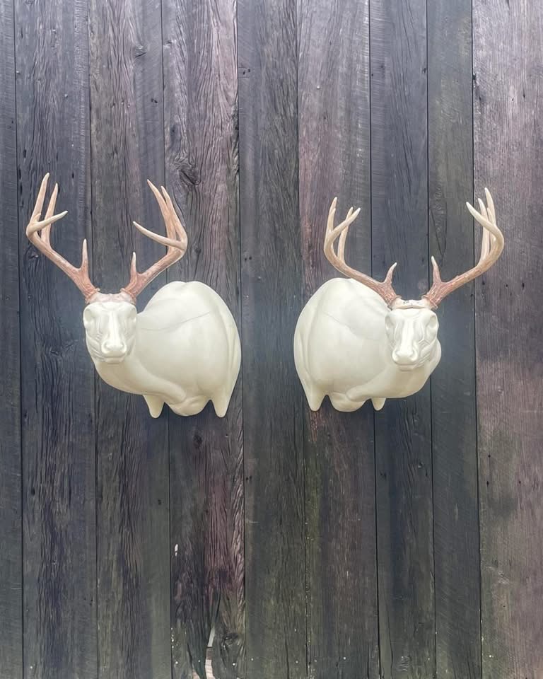 OSSL-22 & OSSR-22 — Offset Super Sneak whitetail taxidermy form by Mears Whitetail Forms