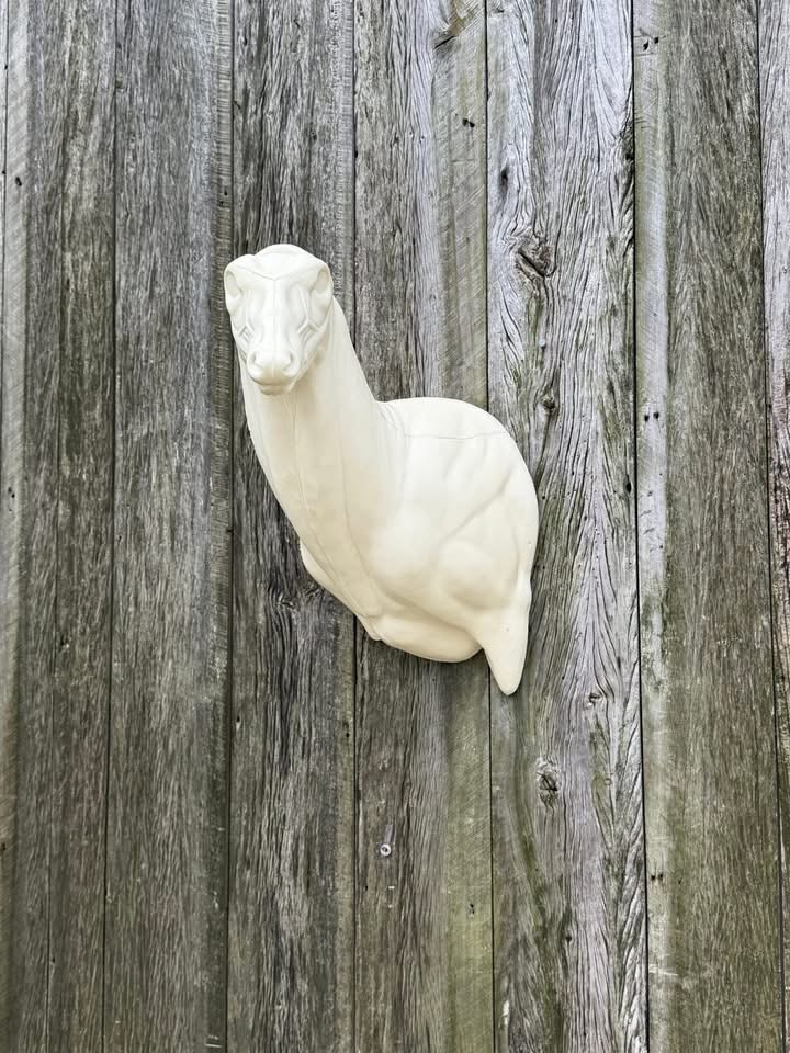 ASL-22 — Aggressive Sweep whitetail taxidermy form by Mears Whitetail Forms