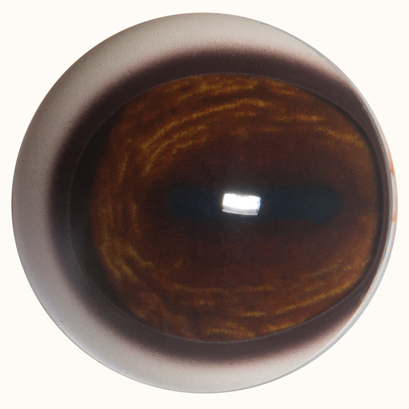 32mm Payer Eyes · Pre-Rotated