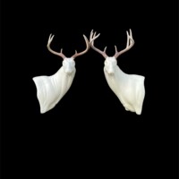 <b>SUR-WP-21 & SUL-WP-22</b>